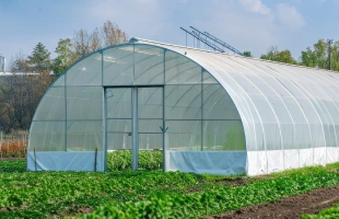 Фермерская теплица