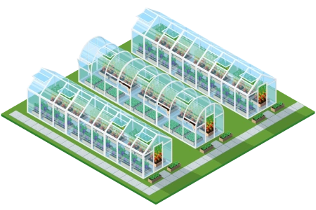 Фермерская теплица