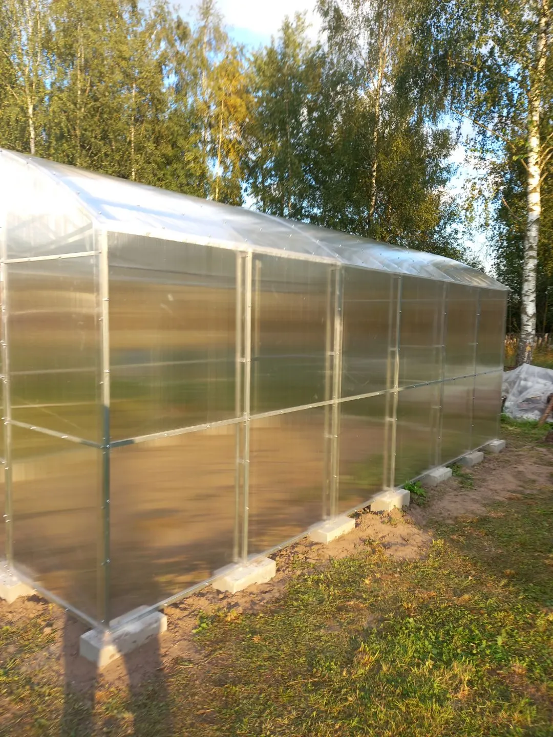 Теплица «Прямостенная» 3,5х10 м Шаг 65 см 
